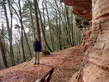 IMG 20190118 131132558 HDR